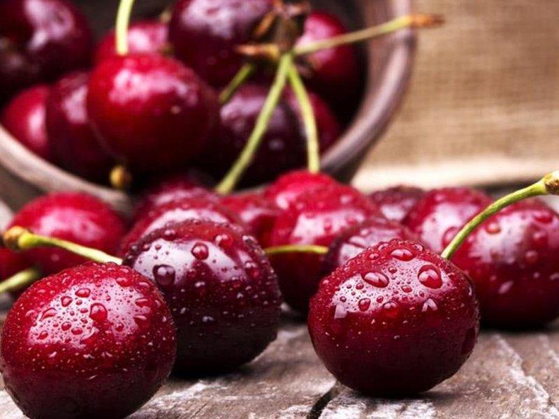 Вишня купить саженцы из питомника в Люберцах